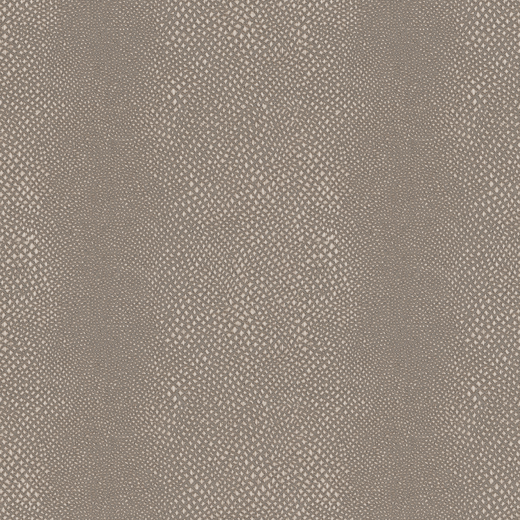 Komodo Gunmetal Swatch