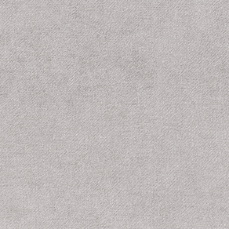 Modern Velvet Silver Swatch