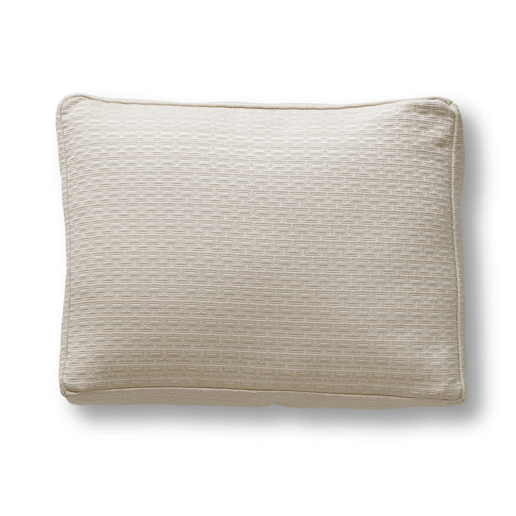 BPPV3625-BON