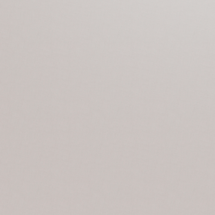 Duchess Satin Silver Swatch