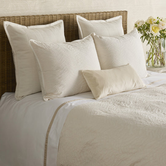 YSETDVTGK-BON-BON YSETDVTGQ-BON-BON