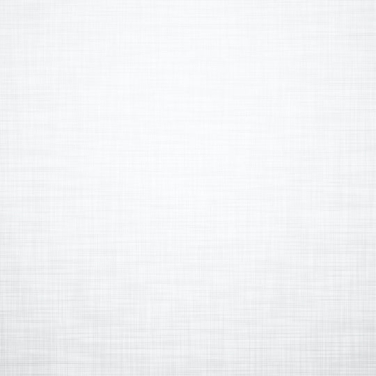 Linen Box Pleat Skirt